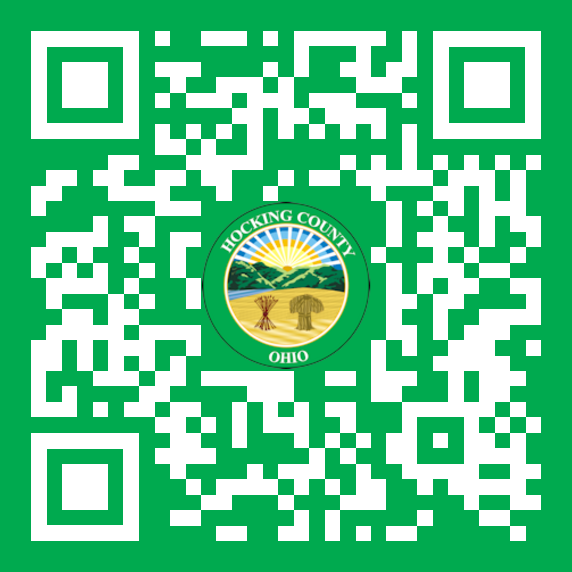 QR Code for new Auditor Website